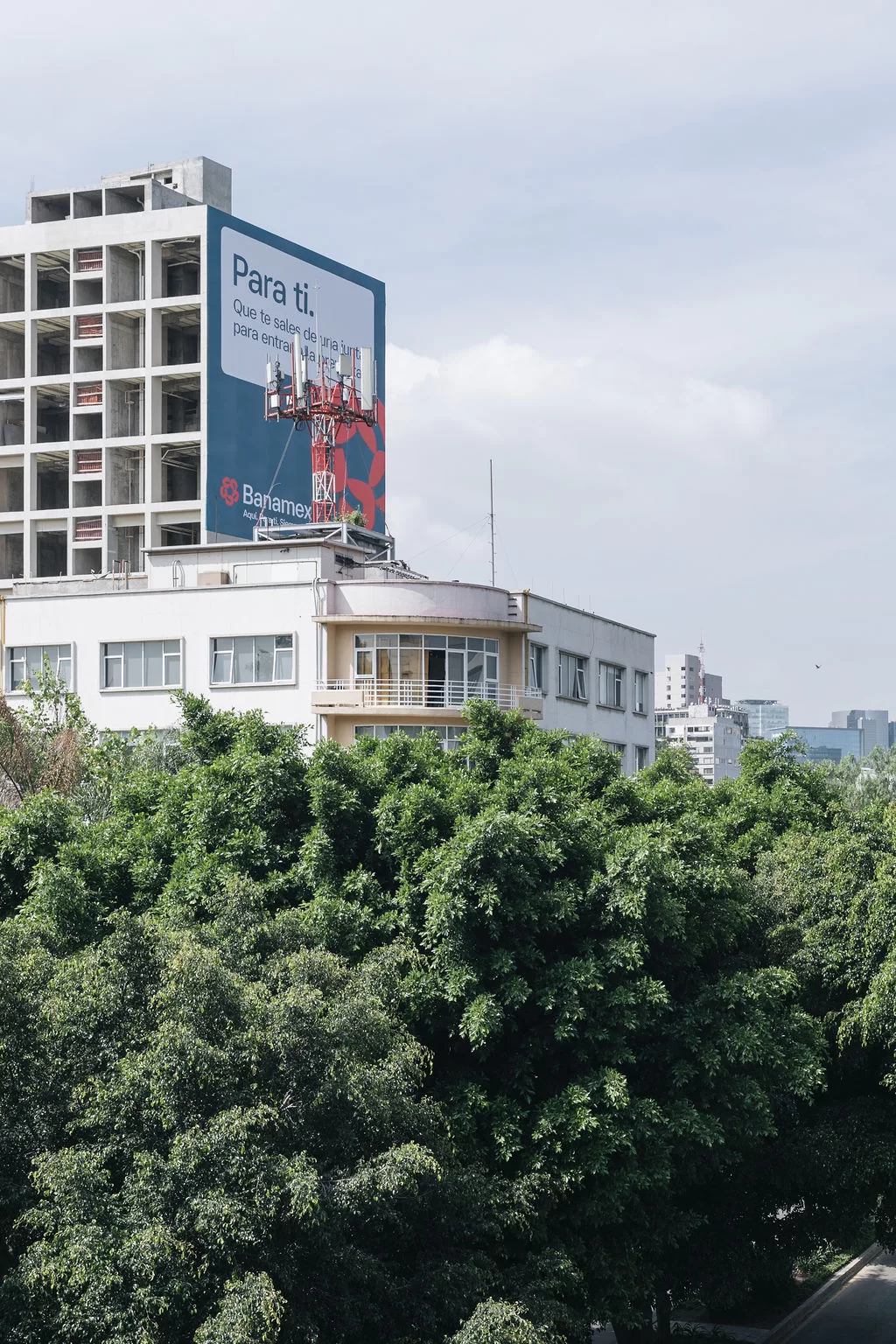 Park Life Masaryk - CDMX - Galeria | Park Life